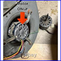 1/3 HP 115V Blower Motor ODP CCWLE for Gas Heater Carrier/ Bryant/ Trane Furnace